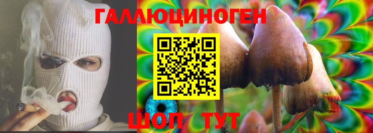 Псилоцибиновые грибы GOLDEN TEACHER  купить   Екатеринбург  Вход с VPN 
